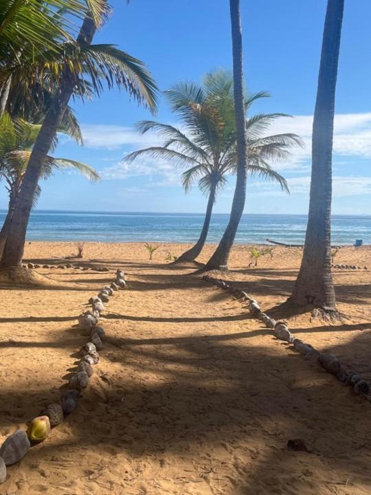 Oceanview Apartment Steps To The Beach Luquillo Kültér fotó