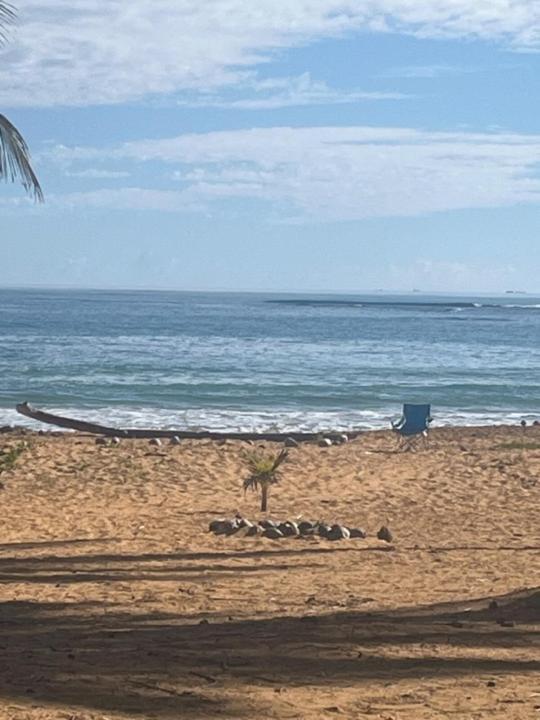 Oceanview Apartment Steps To The Beach Luquillo Kültér fotó